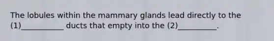 The lobules within the mammary glands lead directly to the (1)___________ ducts that empty into the (2)__________.