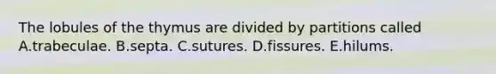 The lobules of the thymus are divided by partitions called A.trabeculae. B.septa. C.sutures. D.fissures. E.hilums.