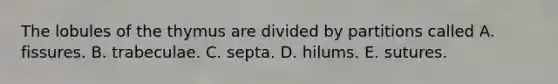 The lobules of the thymus are divided by partitions called A. fissures. B. trabeculae. C. septa. D. hilums. E. sutures.