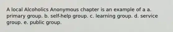 A local Alcoholics Anonymous chapter is an example of a a. primary group. b. self-help group. c. learning group. d. service group. e. public group.