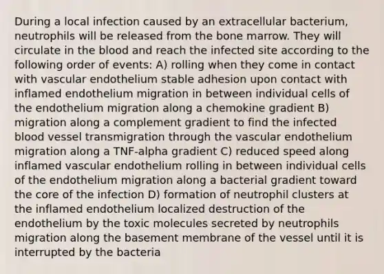 During a local infection caused by an extracellular bacterium, neutrophils will be released from the bone marrow. They will circulate in <a href='https://www.questionai.com/knowledge/k7oXMfj7lk-the-blood' class='anchor-knowledge'>the blood</a> and reach the infected site according to the following order of events: A) rolling when they come in contact with vascular endothelium stable adhesion upon contact with inflamed endothelium migration in between individual cells of the endothelium migration along a chemokine gradient B) migration along a complement gradient to find the infected blood vessel transmigration through the vascular endothelium migration along a TNF-alpha gradient C) reduced speed along inflamed vascular endothelium rolling in between individual cells of the endothelium migration along a bacterial gradient toward <a href='https://www.questionai.com/knowledge/kD8KqkX2aO-the-core' class='anchor-knowledge'>the core</a> of the infection D) formation of neutrophil clusters at the inflamed endothelium localized destruction of the endothelium by the toxic molecules secreted by neutrophils migration along the basement membrane of the vessel until it is interrupted by the bacteria