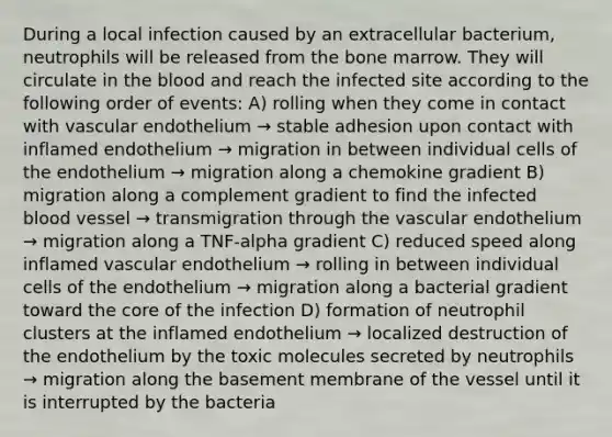 During a local infection caused by an extracellular bacterium, neutrophils will be released from the bone marrow. They will circulate in the blood and reach the infected site according to the following order of events: A) rolling when they come in contact with vascular endothelium → stable adhesion upon contact with inflamed endothelium → migration in between individual cells of the endothelium → migration along a chemokine gradient B) migration along a complement gradient to find the infected blood vessel → transmigration through the vascular endothelium → migration along a TNF-alpha gradient C) reduced speed along inflamed vascular endothelium → rolling in between individual cells of the endothelium → migration along a bacterial gradient toward the core of the infection D) formation of neutrophil clusters at the inflamed endothelium → localized destruction of the endothelium by the toxic molecules secreted by neutrophils → migration along the basement membrane of the vessel until it is interrupted by the bacteria