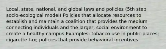 Local, state, national, and global laws and policies (5th step socio-ecological model) Policies that allocate resources to establish and maintain a coalition that provides the medium connecting individuals and the larger, social environment to create a healthy campus Examples: tobacco use in public places; cigarette tax; policies that provide behavioral incentives