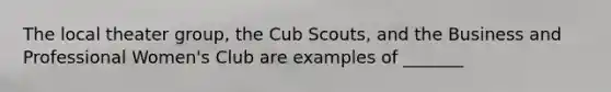 The local theater group, the Cub Scouts, and the Business and Professional Women's Club are examples of _______