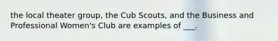 the local theater group, the Cub Scouts, and the Business and Professional Women's Club are examples of ___.