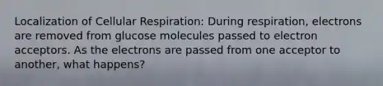 Localization of <a href='https://www.questionai.com/knowledge/k1IqNYBAJw-cellular-respiration' class='anchor-knowledge'>cellular respiration</a>: During respiration, electrons are removed from glucose molecules passed to electron acceptors. As the electrons are passed from one acceptor to another, what happens?