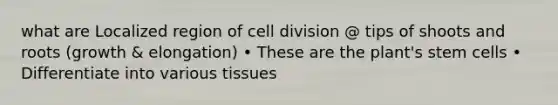 what are Localized region of <a href='https://www.questionai.com/knowledge/kjHVAH8Me4-cell-division' class='anchor-knowledge'>cell division</a> @ tips of shoots and roots (growth & elongation) • These are the plant's stem cells • Differentiate into various tissues