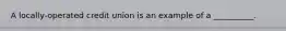 A​ locally-operated credit union is an example of a​ __________.