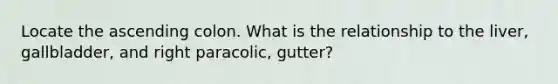 Locate the ascending colon. What is the relationship to the liver, gallbladder, and right paracolic, gutter?