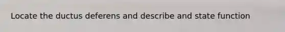 Locate the ductus deferens and describe and state function