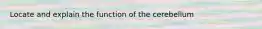 Locate and explain the function of the cerebellum