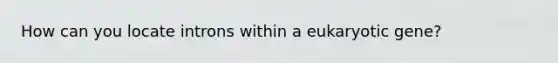 How can you locate introns within a eukaryotic gene?