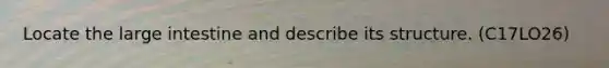 Locate the large intestine and describe its structure. (C17LO26)