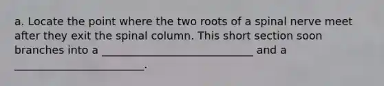 a. Locate the point where the two roots of a spinal nerve meet after they exit the spinal column. This short section soon branches into a ____________________________ and a ________________________.