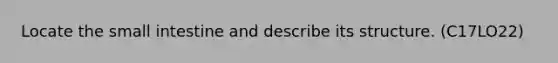 Locate the small intestine and describe its structure. (C17LO22)