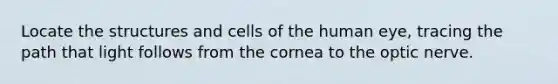 Locate the structures and cells of the human eye, tracing the path that light follows from the cornea to the optic nerve.