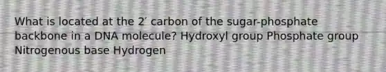 What is located at the 2′ carbon of the sugar-phosphate backbone in a DNA molecule? Hydroxyl group Phosphate group Nitrogenous base Hydrogen