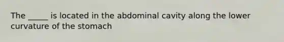 The _____ is located in the abdominal cavity along the lower curvature of the stomach