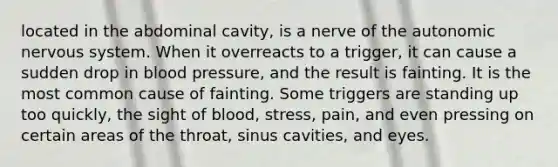 located in the abdominal cavity, is a nerve of the autonomic nervous system. When it overreacts to a trigger, it can cause a sudden drop in blood pressure, and the result is fainting. It is the most common cause of fainting. Some triggers are standing up too quickly, the sight of blood, stress, pain, and even pressing on certain areas of the throat, sinus cavities, and eyes.