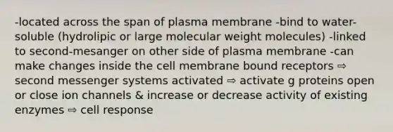 -located across the span of plasma membrane -bind to water-soluble (hydrolipic or large molecular weight molecules) -linked to second-mesanger on other side of plasma membrane -can make changes inside the cell membrane bound receptors ⇨ second messenger systems activated ⇨ activate g proteins open or close ion channels & increase or decrease activity of existing enzymes ⇨ cell response