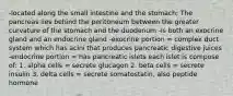 -located along the small intestine and the stomach; The pancreas lies behind the peritoneum between the greater curvature of the stomach and the duodenum -is both an exocrine gland and an endocrine gland -exocrine portion = complex duct system which has acini that produces pancreatic digestive juices -endocrine portion = has pancreatic islets each islet is compose of: 1. alpha cells = secrete glucagon 2. beta cells = secrete insulin 3. delta cells = secrete somatostatin, also peptide hormone