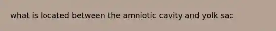 what is located between the amniotic cavity and yolk sac