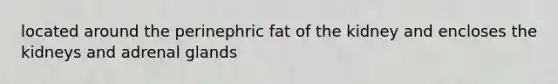 located around the perinephric fat of the kidney and encloses the kidneys and adrenal glands