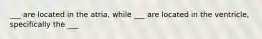 ___ are located in the atria, while ___ are located in the ventricle, specifically the ___