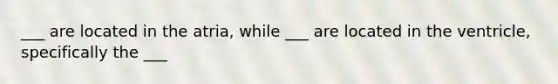 ___ are located in the atria, while ___ are located in the ventricle, specifically the ___