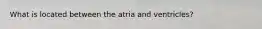 What is located between the atria and ventricles?