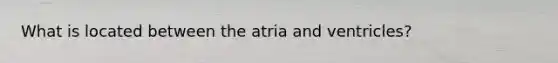 What is located between the atria and ventricles?