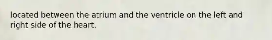 located between the atrium and the ventricle on the left and right side of the heart.