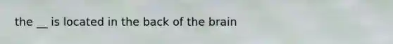 the __ is located in the back of the brain