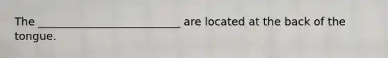 The __________________________ are located at the back of the tongue.