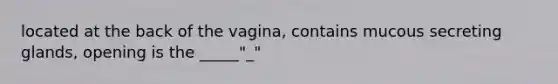 located at the back of the vagina, contains mucous secreting glands, opening is the _____"_"