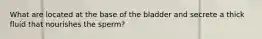 What are located at the base of the bladder and secrete a thick fluid that nourishes the sperm?