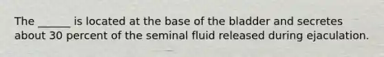 The ______ is located at the base of the bladder and secretes about 30 percent of the seminal fluid released during ejaculation.