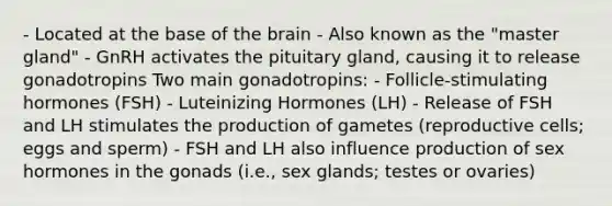 - Located at the base of the brain - Also known as the "master gland" - GnRH activates the pituitary gland, causing it to release gonadotropins Two main gonadotropins: - Follicle-stimulating hormones (FSH) - Luteinizing Hormones (LH) - Release of FSH and LH stimulates the production of gametes (reproductive cells; eggs and sperm) - FSH and LH also influence production of sex hormones in the gonads (i.e., sex glands; testes or ovaries)