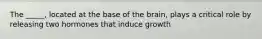 The _____, located at the base of the brain, plays a critical role by releasing two hormones that induce growth