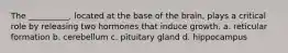 The __________, located at the base of the brain, plays a critical role by releasing two hormones that induce growth. a. reticular formation b. cerebellum c. pituitary gland d. hippocampus