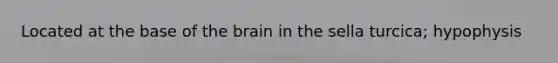 Located at the base of the brain in the sella turcica; hypophysis