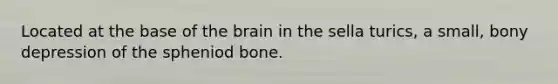 Located at the base of <a href='https://www.questionai.com/knowledge/kLMtJeqKp6-the-brain' class='anchor-knowledge'>the brain</a> in the sella turics, a small, bony depression of the spheniod bone.