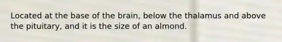 Located at the base of the brain, below the thalamus and above the pituitary, and it is the size of an almond.