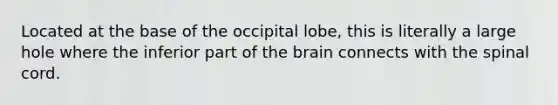 Located at the base of the occipital lobe, this is literally a large hole where the inferior part of the brain connects with the spinal cord.