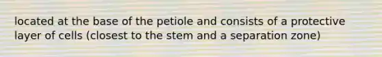 located at the base of the petiole and consists of a protective layer of cells (closest to the stem and a separation zone)