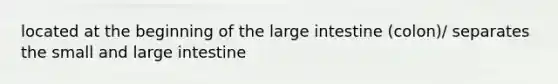 located at the beginning of the large intestine (colon)/ separates the small and large intestine