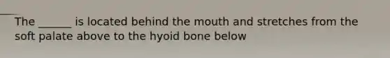 The ______ is located behind the mouth and stretches from the soft palate above to the hyoid bone below