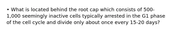 • What is located behind the root cap which consists of 500-1,000 seemingly inactive cells typically arrested in the G1 phase of the cell cycle and divide only about once every 15-20 days?