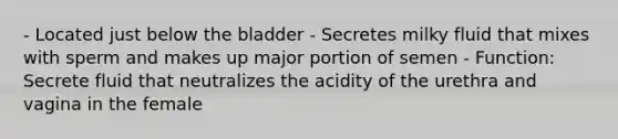 - Located just below the bladder - Secretes milky fluid that mixes with sperm and makes up major portion of semen - Function: Secrete fluid that neutralizes the acidity of the urethra and vagina in the female