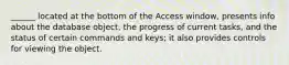 ______ located at the bottom of the Access window, presents info about the database object, the progress of current tasks, and the status of certain commands and keys; it also provides controls for viewing the object.